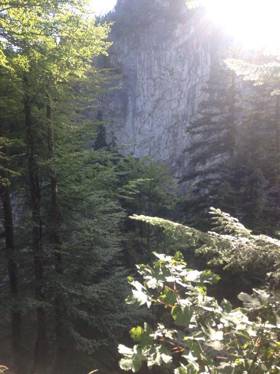 Landgasthof Hirschen Hohenems Exteriör bild